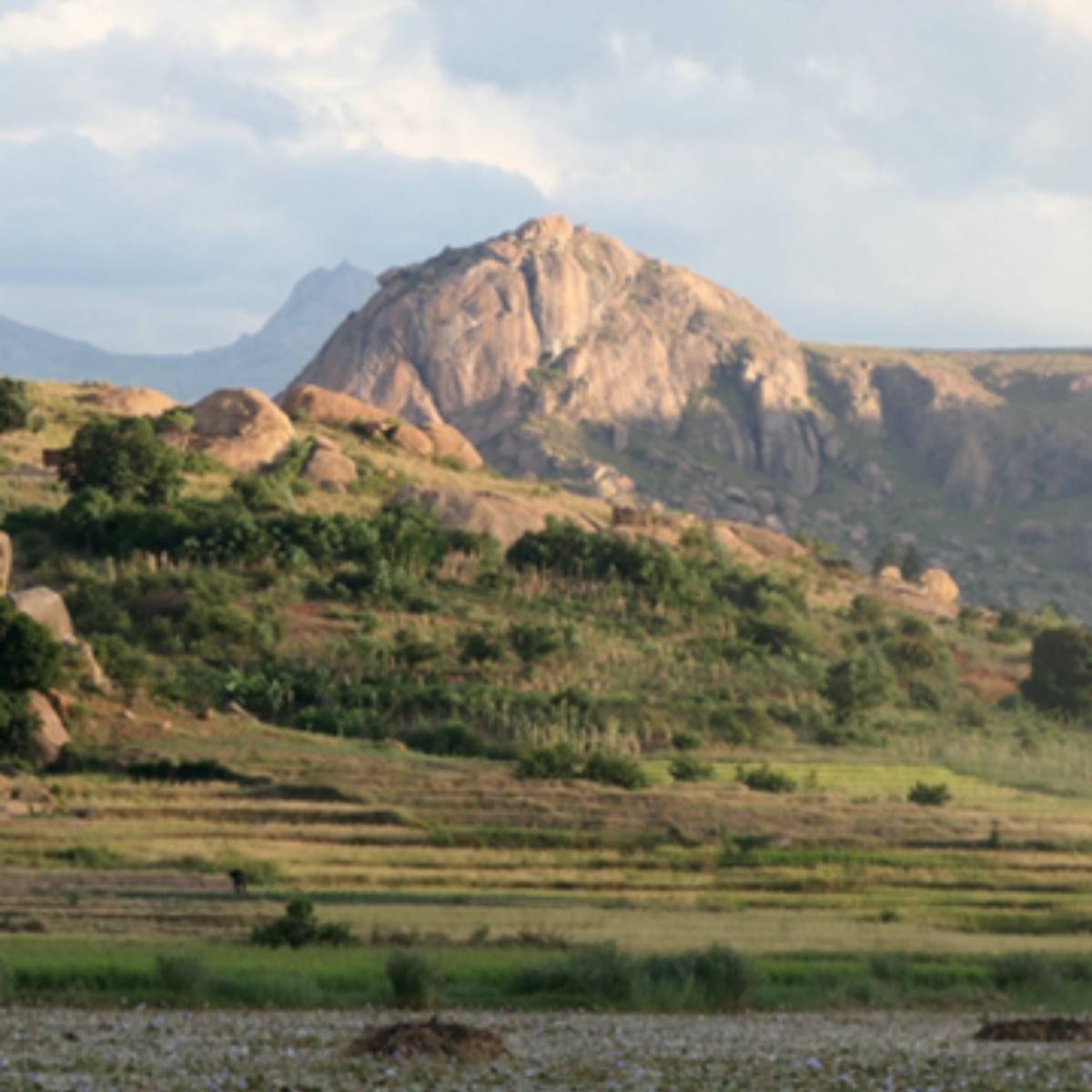 Formations rocheuses et piscines naturelles dans le parc national de l’Isalo, sud de Madagascar