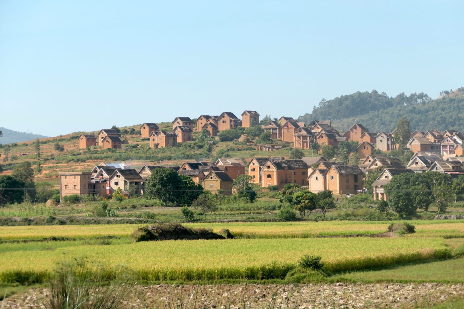 Traditional village in the Highlands madagascar-southwest-circuit-village-highlands-rice-terraces.jpg Traditional village in the highlands with green rice terraces and typical houses during the southwest Madagascar roundtrip with MadaPlusTRAVEL.