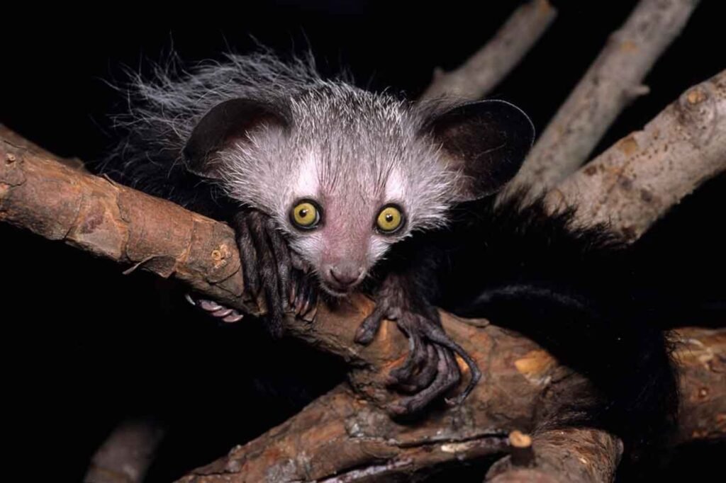 ost-rundreise-madagaskar-manambato-pangalanes-kanal-drohne