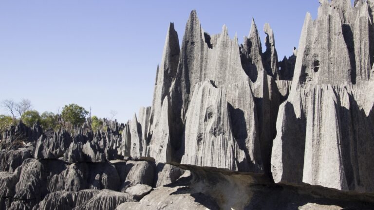 Tsingy de Bemaraha dans l’Ouest de Madagascar – formations calcaires impressionnantes lors d’un circuit dans le parc national avec MadaPlus TRAVEL